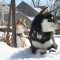 Toshiro and Yojimbo