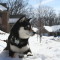 Toshiro