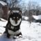 Toshiro