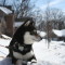 Toshiro