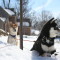Toshiro and Yojimvo