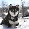 Toshiro