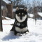 Toshiro
